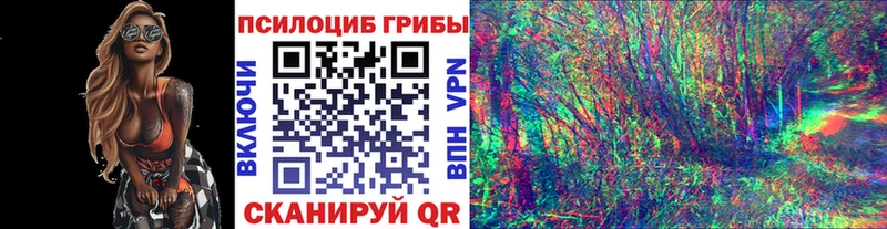 цена   Грязи  Галлюциногенные грибы MAGIC MUSHROOMS 